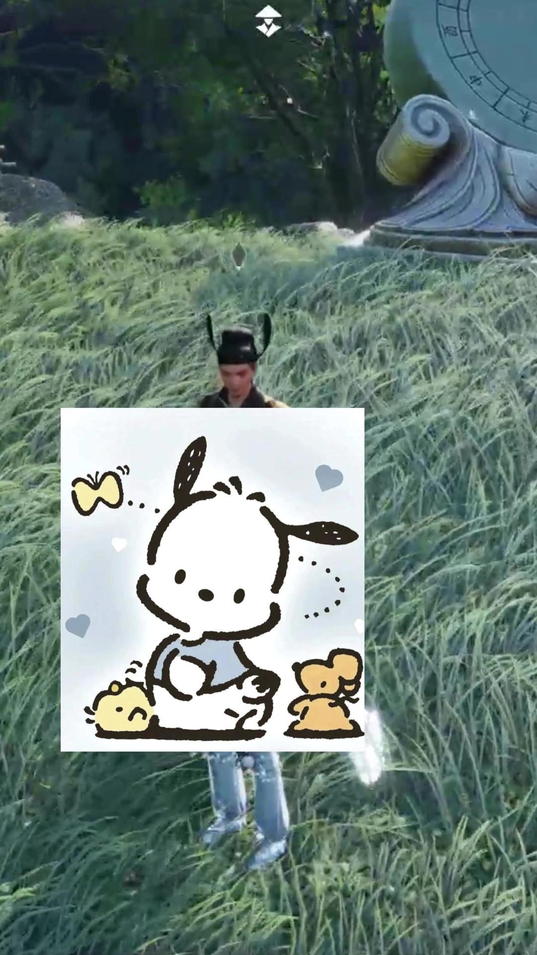 video-5363308
