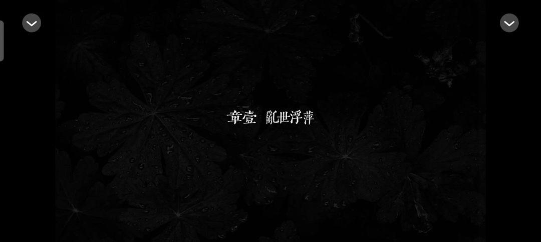 video-5363593