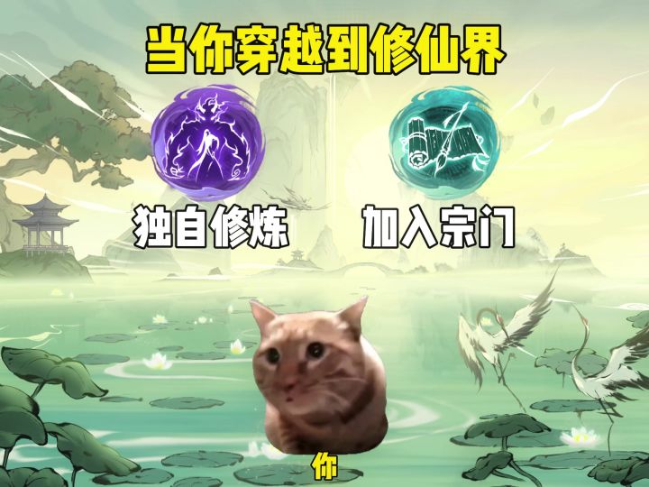 所以你会选择哪种仙途?截图