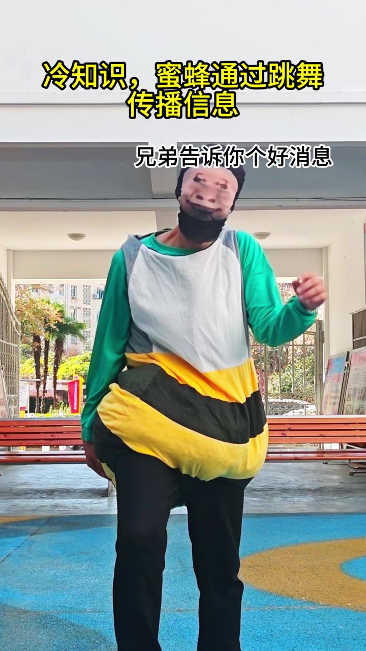 蜜蜂通过跳舞传播消息【一念逍遥】截图