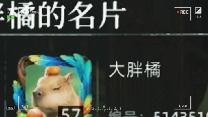 嘿嘿嘿截图