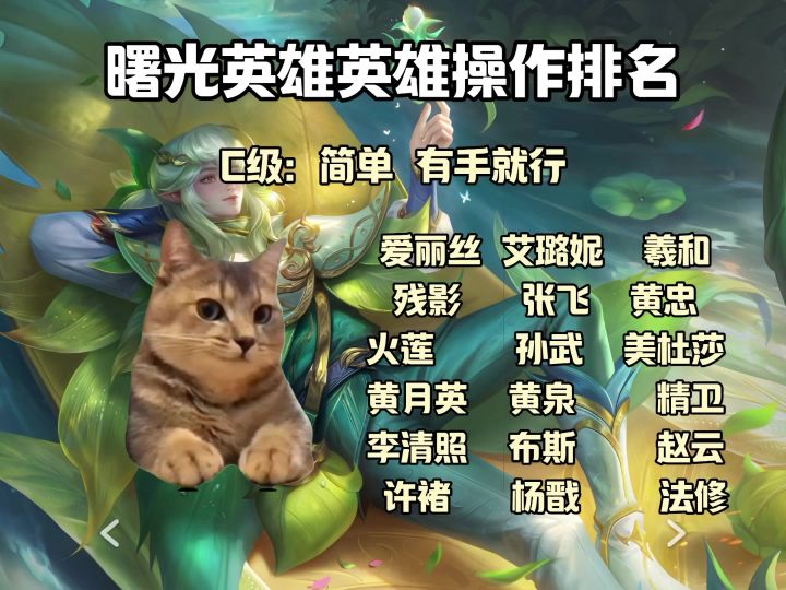 英雄排名截图