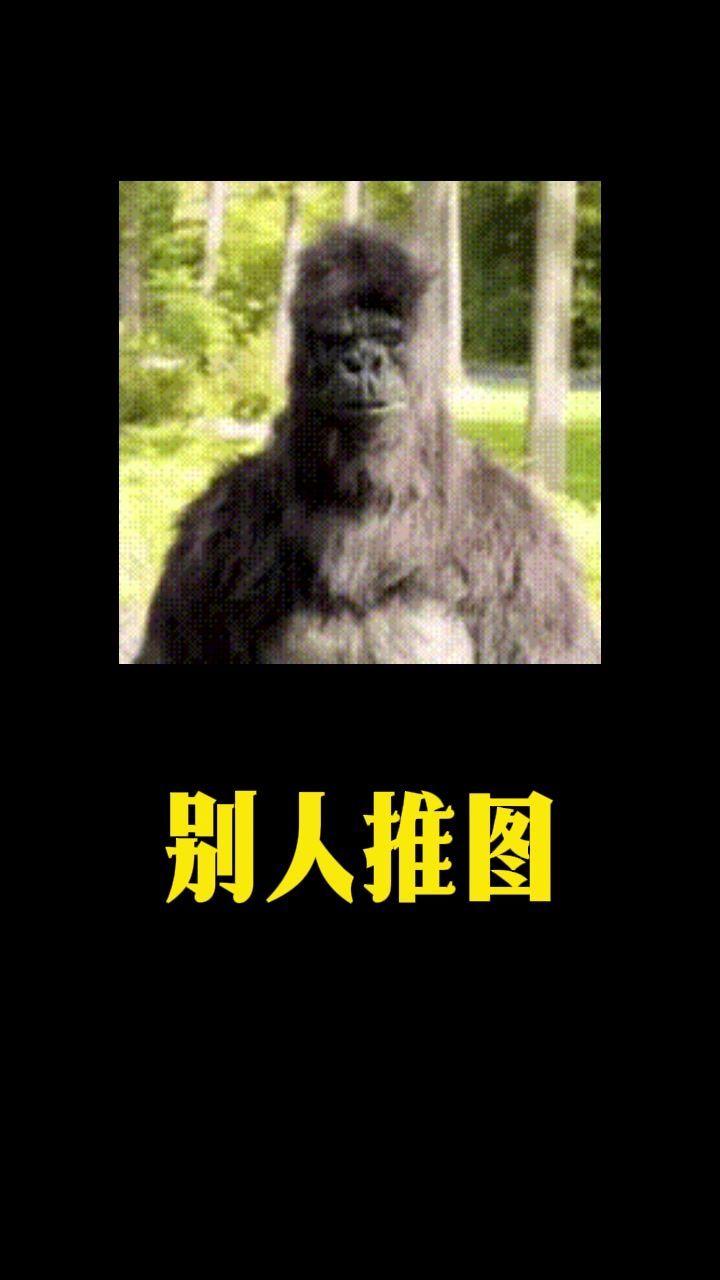 🏹装备猛抽,引雷加成拉满!截图