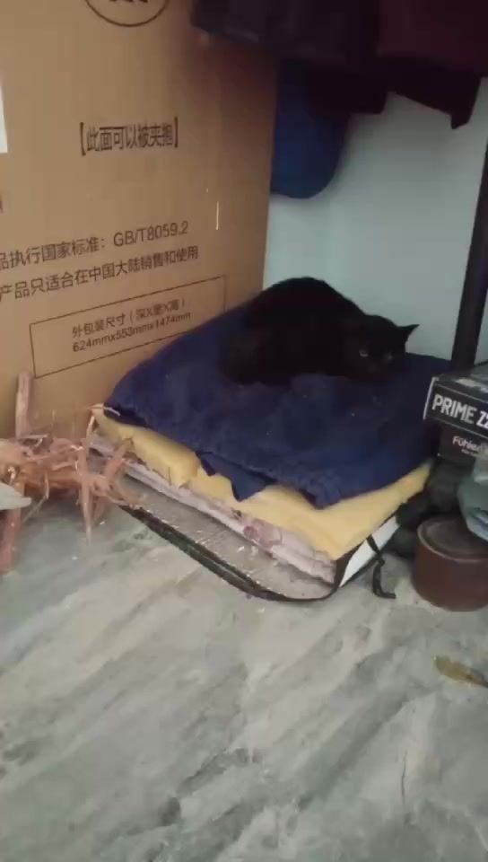 video-5372482