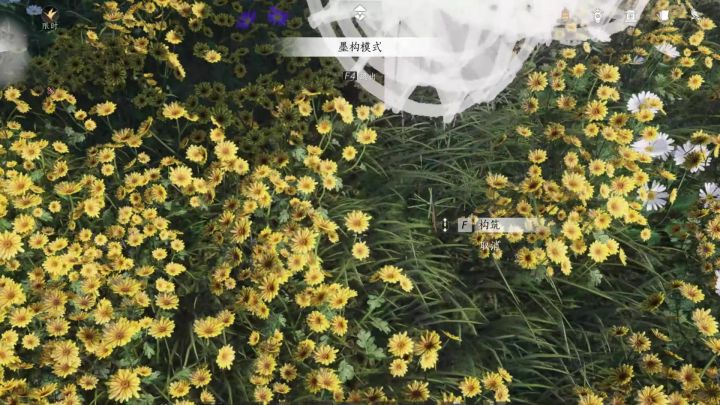 燕云最新飞行器你要不要截图