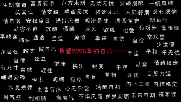希望2026的自己··· ···截图