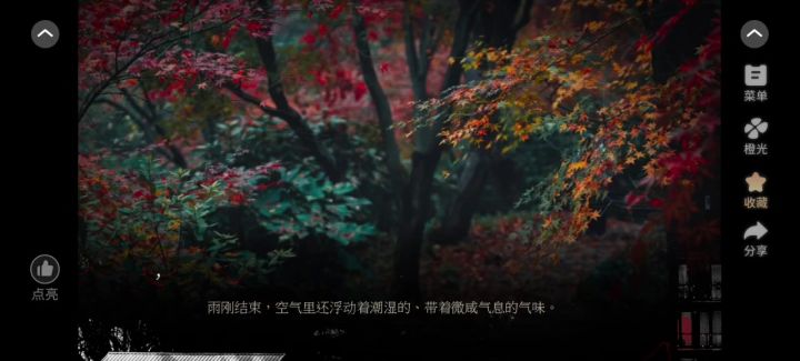 橙光《和谈林》截图