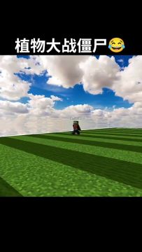 植物大战僵尸😂