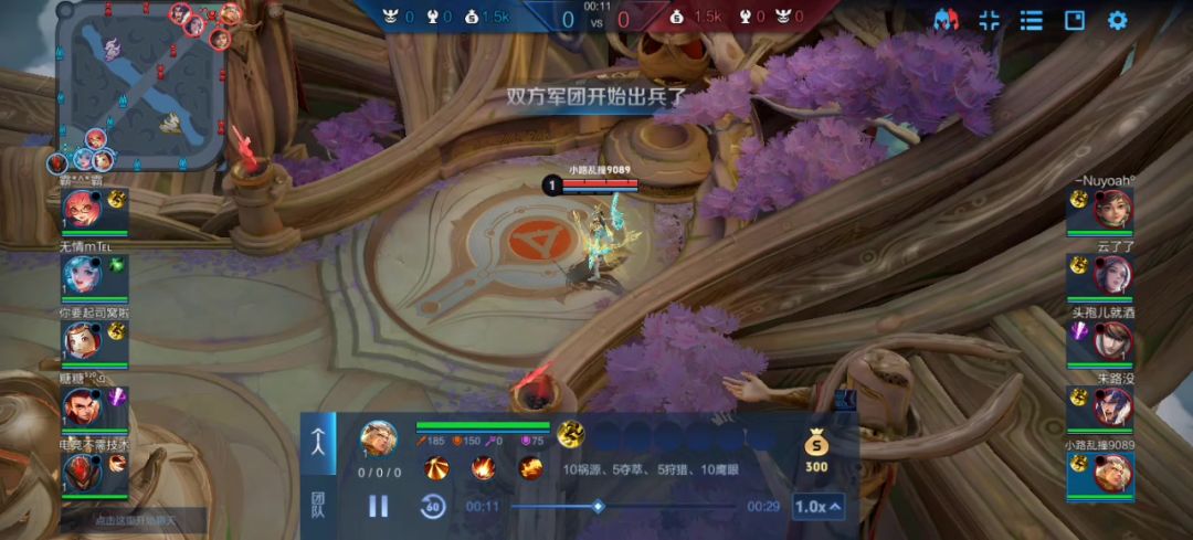 video-5374343