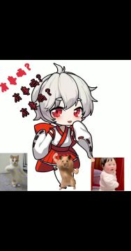 黑皮每天回复的比机器人还快，做客服已经形成肌肉记忆了！