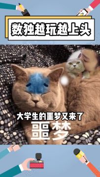 大学生数独上头喊噩梦：填大数秒通超上瘾