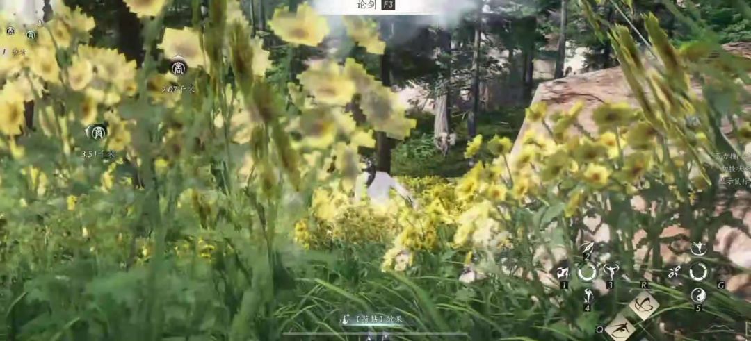 video-5384683