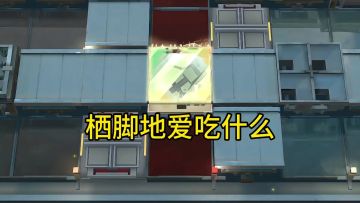 栖脚地爱吃什么