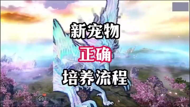【养宠教程】新宠物的正确培养流程!截图
