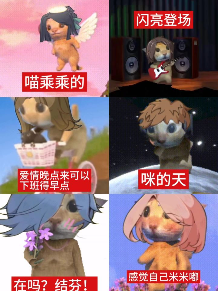 小生活|阿米嘎蒂朵喵喵手书🐱截图