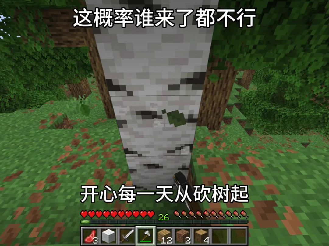 video-5386746