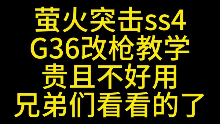 萤火突击G36改枪教学截图