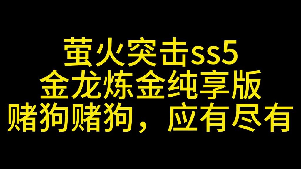 video-5387647