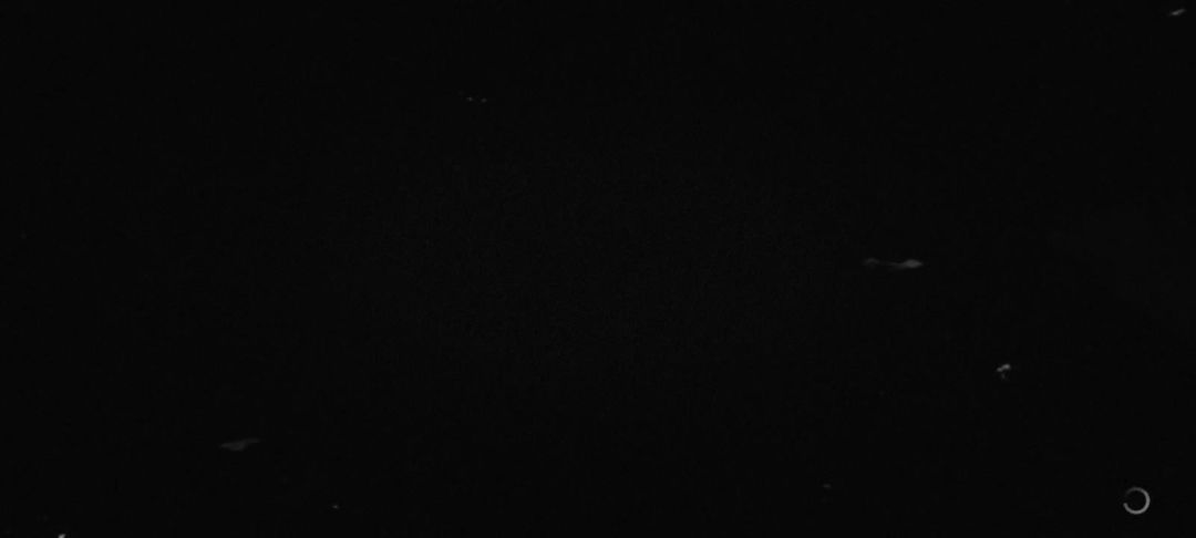 video-5390435