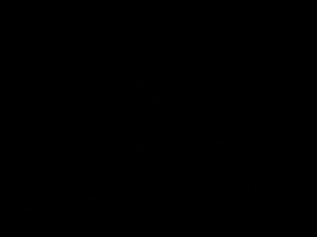 video-5392844