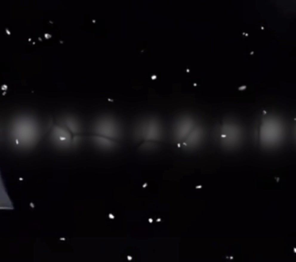 video-5393279