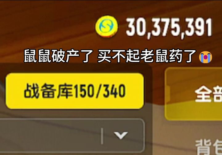 这么多鼠鼠玩家?截图