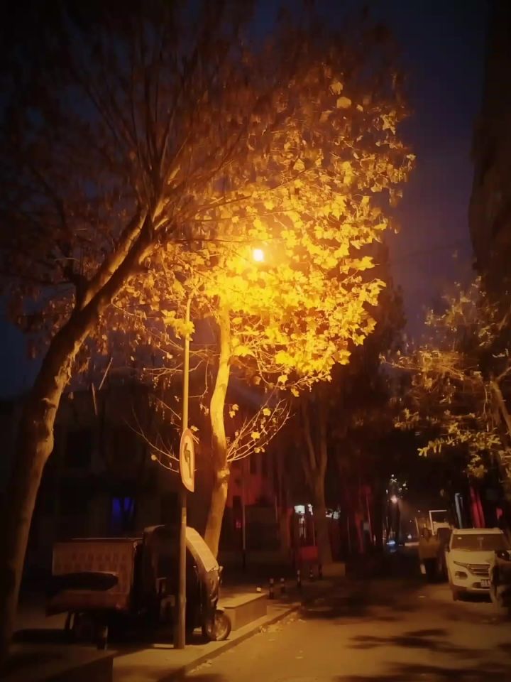 金秋截图