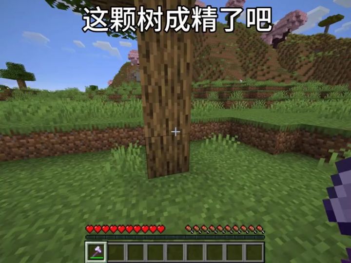 这棵树成精了截图