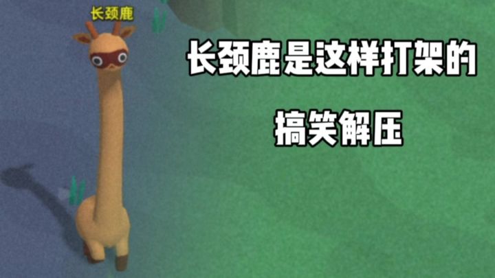 长颈鹿是这样打架的:见过长颈鹿甩脖子打架吗?截图