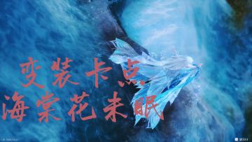 【无限暖暖】有人喜欢变装吗