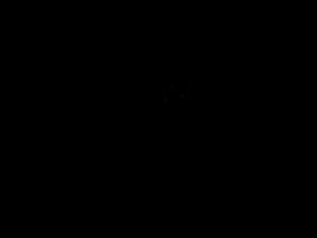 video-5416911