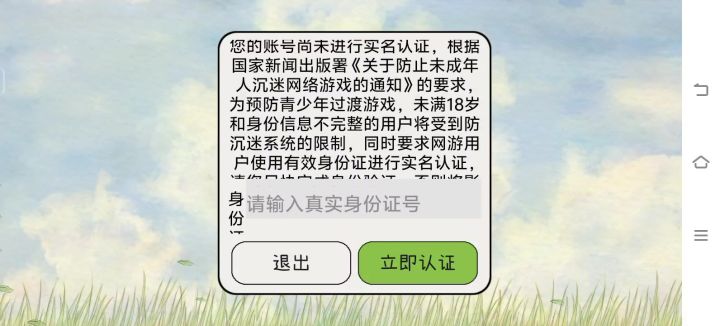 游戏问题截图