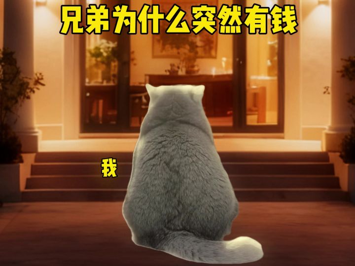 兄弟为什么突然有钱截图