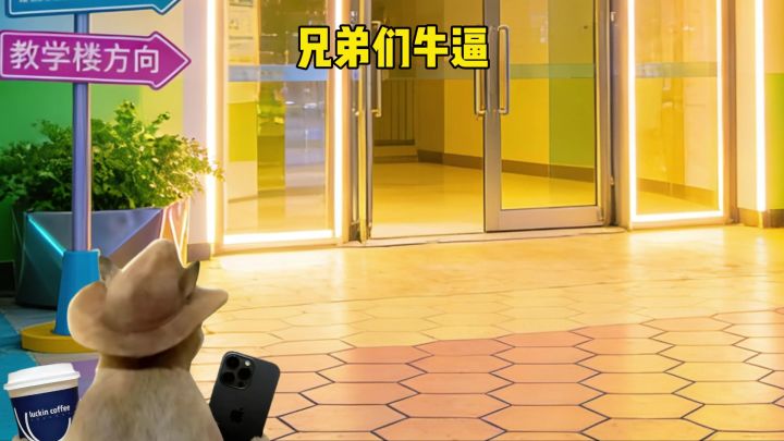兄弟们牛逼截图