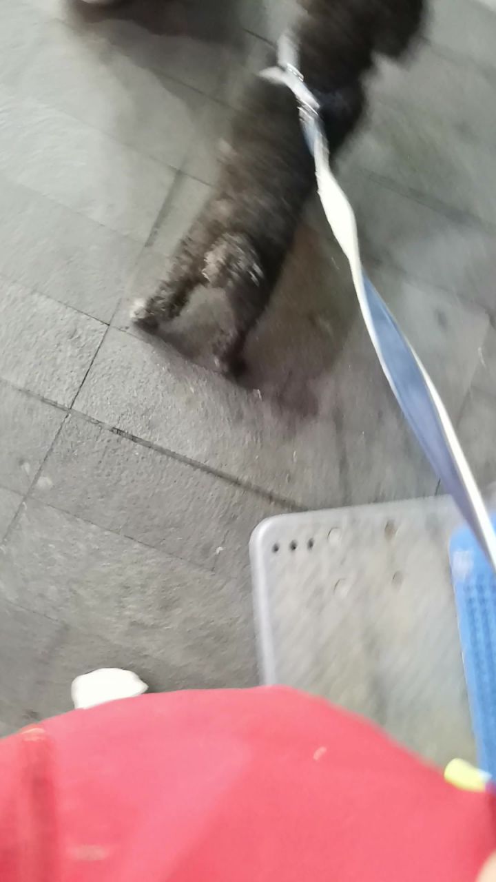 小黑截图