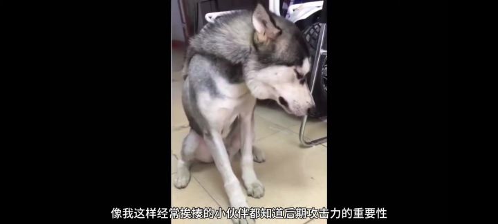 后期攻击力为王,这些能提升的地方你留意到了吗?(通用)截图