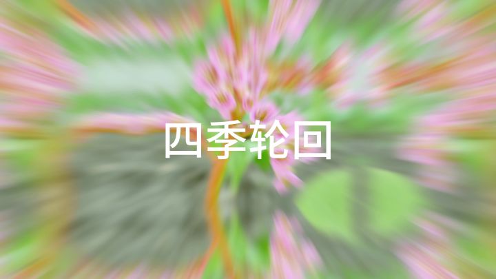 春夏秋冬截图