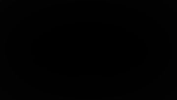 《关于执行官那天到底看到了什么》