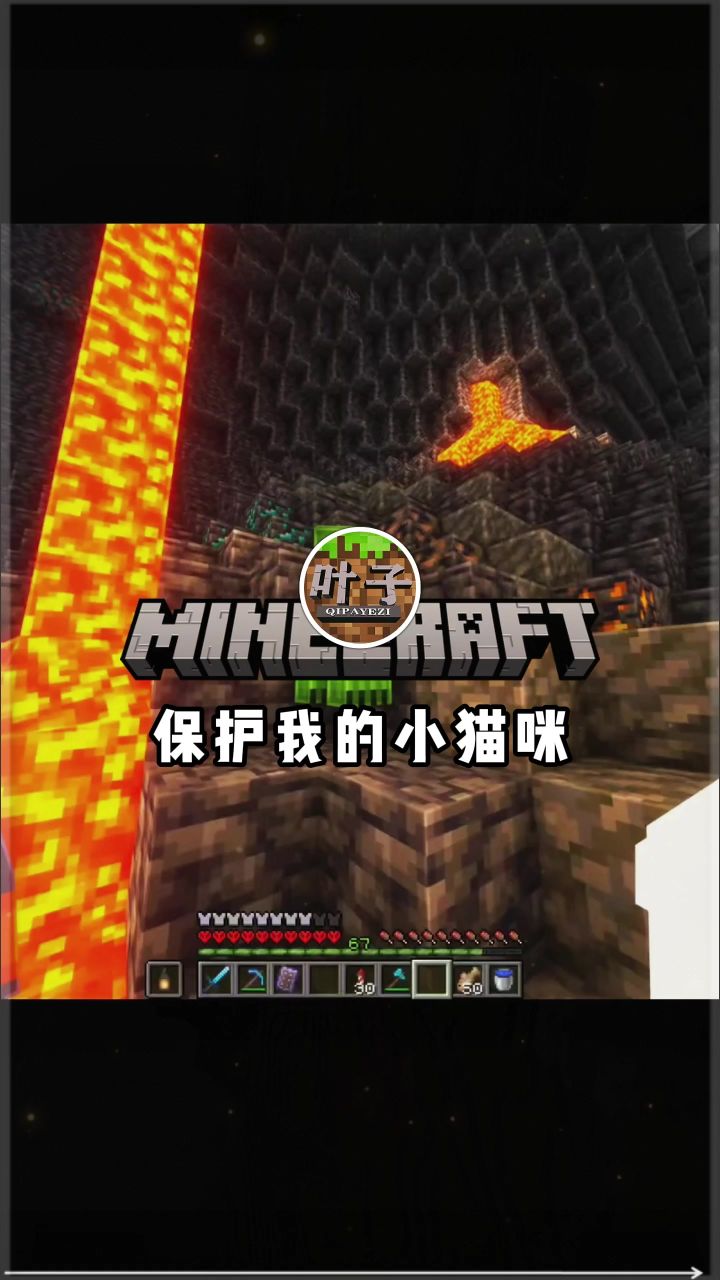 保护我的小猫咪截图