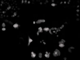 回不去的何止是时间