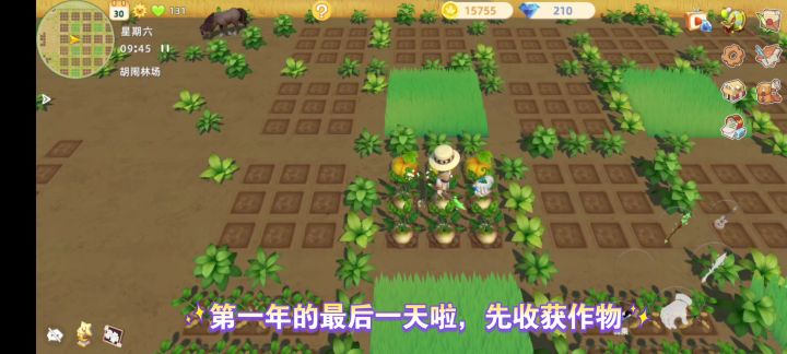 勤劳牧场主的一天截图
