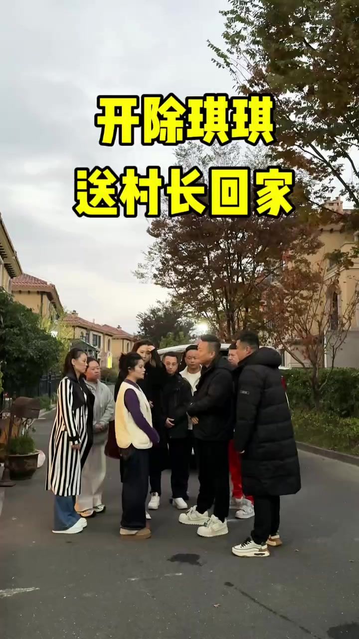 开除琪琪,送村长回家,我们也回河北祭祖!截图