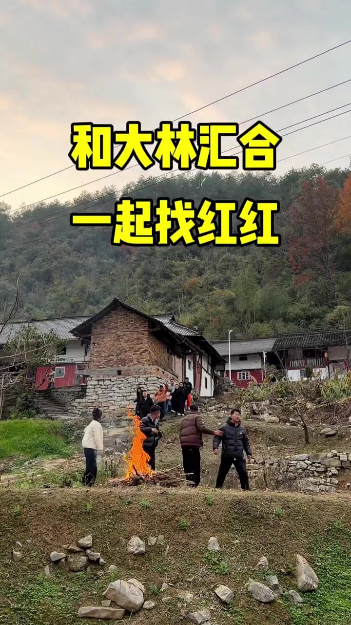 不远千里和大林汇合，万众一心找红红！截图