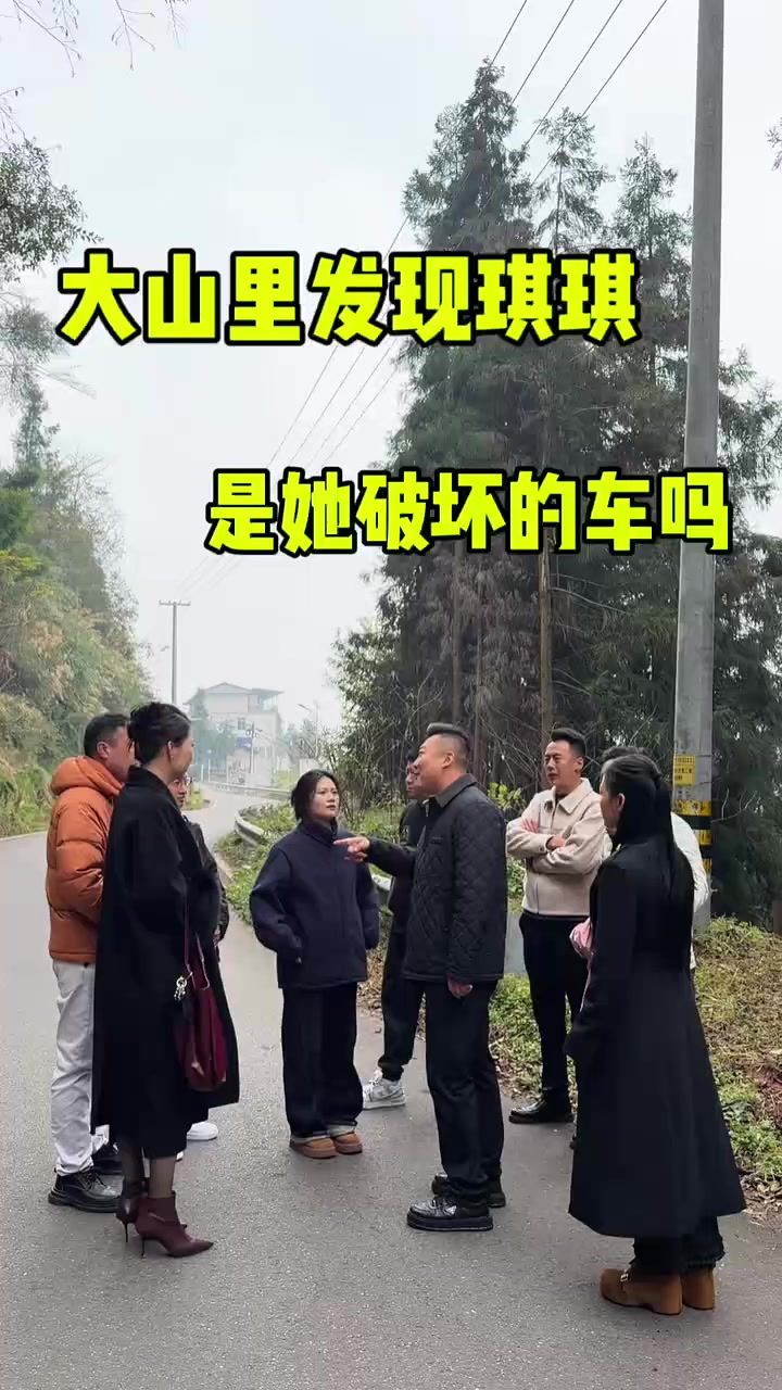 琪琪追到大山，车是不是他破坏的？截图