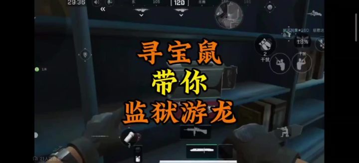 这b站上的寻宝鼠视频截图
