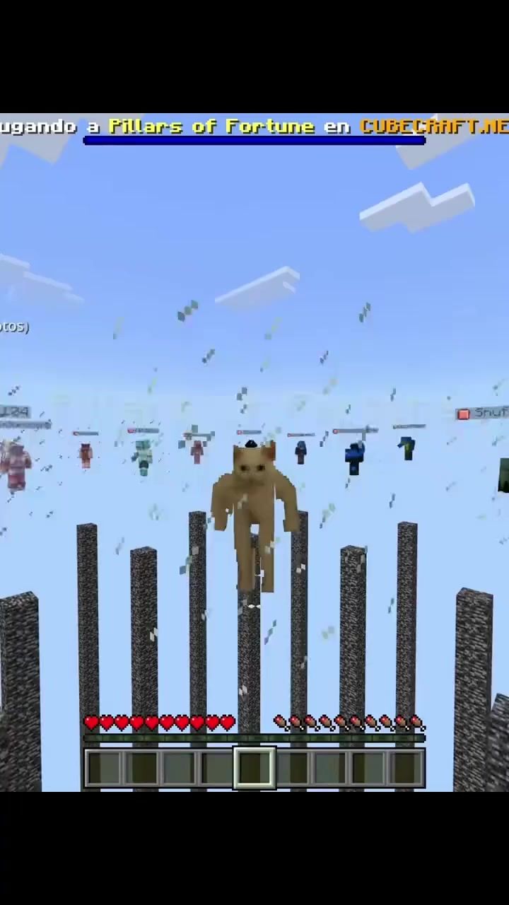Pillars of Fortune CubeCraft截图