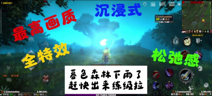 魔兽世界,最高画质,全特效,雨天,沉浸感截图