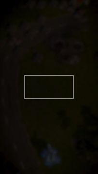 2月2日，🎉 每周最佳回放第 3 期！