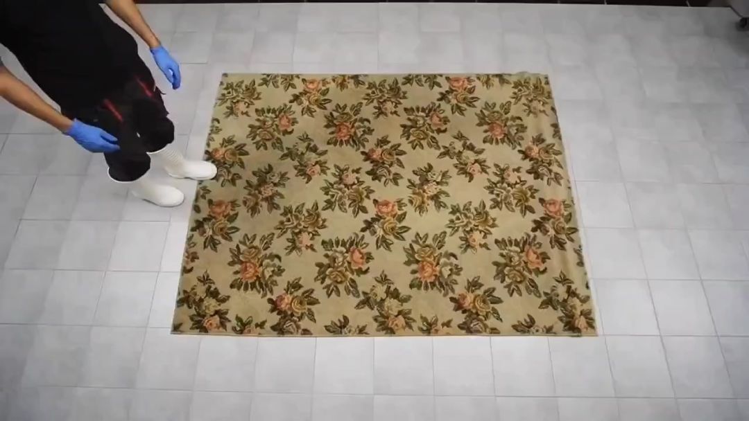 video-5445605