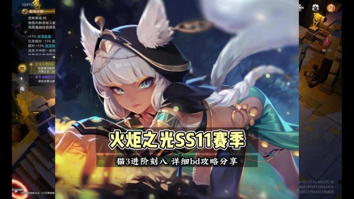 SS11萌新猫3进阶刻8详细bd攻略截图